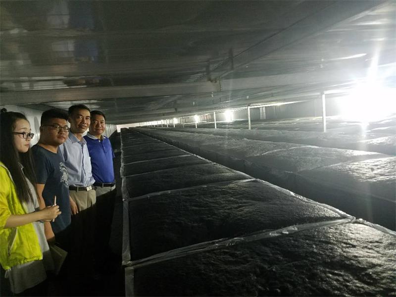 微信图片_20180713132303.jpg 微信图片_20180713132303.jpg