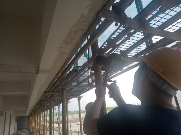 图片8 600.jpg 图片8 600.jpg